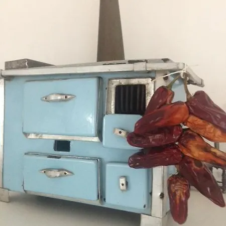 Maison D Hotes La Madeleine 住宿加早餐酒店 滨海萨纳里